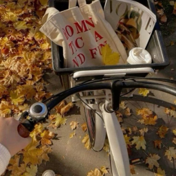 fall ♩ ˚⋅