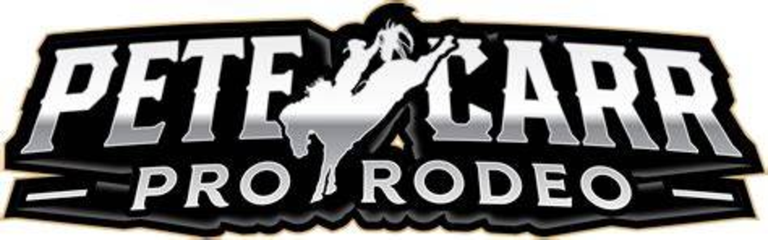 rocket rodeo screenshot 1