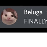 Beluga fans only