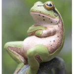 The angry frogs