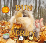 Bwun Berri . !