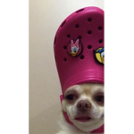 ur kinda cute!!!....