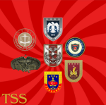 | TSS | Branşlar,bölükler vb.
