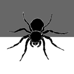The Furtive Arachnids