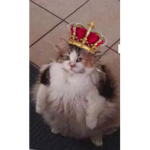 Froot Loops kingdom