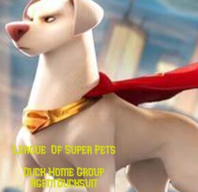 (Leaked!)Leauge Of Super Pets Names