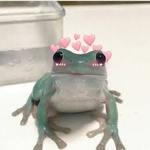 HWELO
