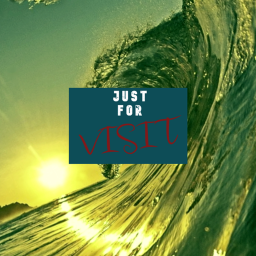 just for visit