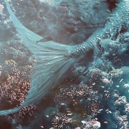 |V1| Mermaids Aquatic Swimming Pool