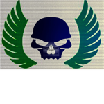 R.A.F. TEAM