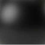 DoggoClonez