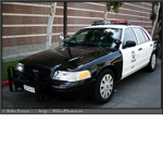 Los Angeles Police: Licensed Drivers