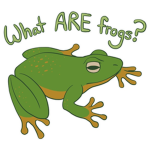 what are frogs