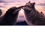 Need to find a friend u have some in this group :)