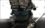 The FPS family