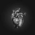 NW | The Iron Heart Legion
