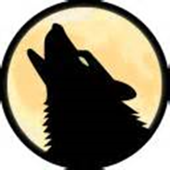 welcome to my profile!