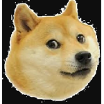 Doge Wrld