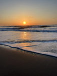 Coastal peeps!