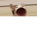 Pop Cat roblox gang