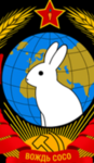 Coco rabbit