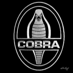 Legion of Cobra