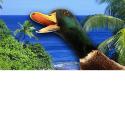 duck island