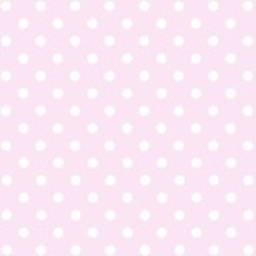 ૮ ˶ᵔ ᵕ ᵔ˶ ა