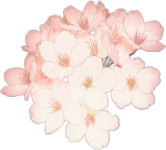 Flowers of the Abyss