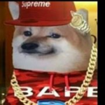 PLS BUY MY SHIRTS NOW