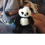 XxCutePandaxxX