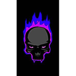 silver bro skull group