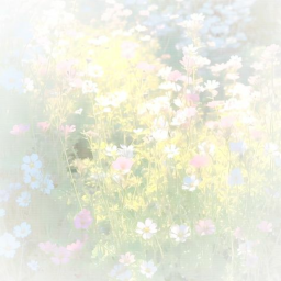 ✿