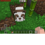 ravenDogs123