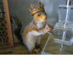 The Squirrel Royalty Fan Club