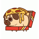 THE PIZZA PUGS