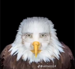 Fabipro