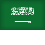 Saudi military squad