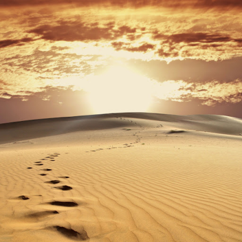 endless desert