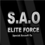 S.A.O Elite force