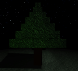 Forest.