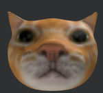 CATFAMILYLUCKISREAL