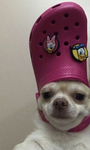 Roblox Roleplay Group Where We Make Friends!