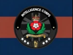 [RGGR] - Royal Intelligence Corps