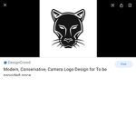 Black Panthers kingdom