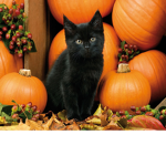 Pumpst