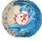 Xotle's Beached Apparel