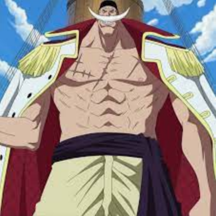 one piece Roblox decal