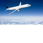 Panda airfores