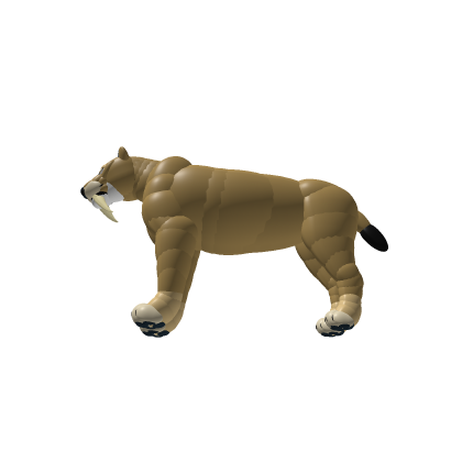 ############## Tooth Cat
